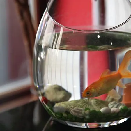 Briand Devient Ipl 3* Levallois-Perret